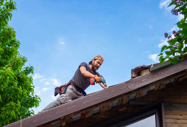 Best Skylight Installation and Repair  in Platteville, CO
